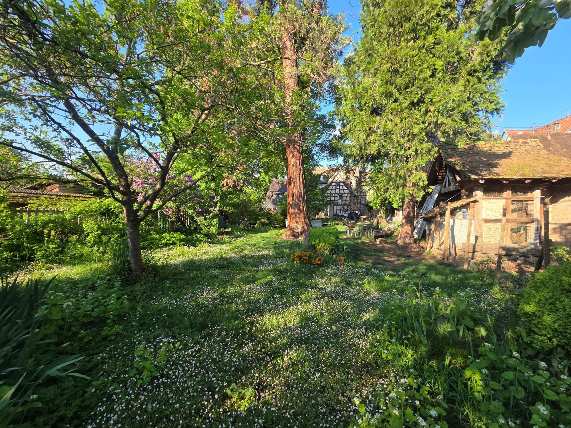 Villa Nid de Cigognes Barr Exterior foto