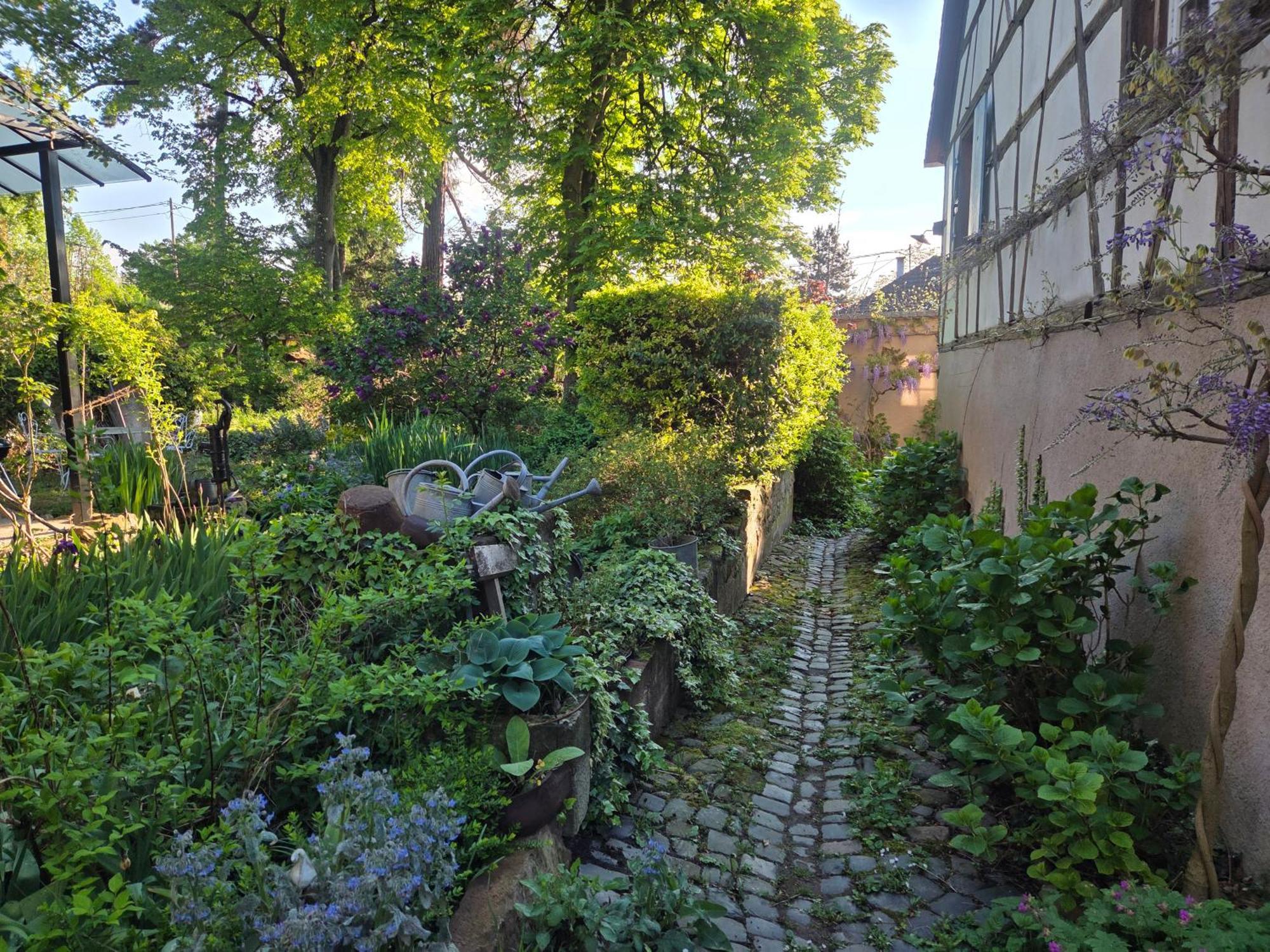 Villa Nid de Cigognes Barr Exterior foto