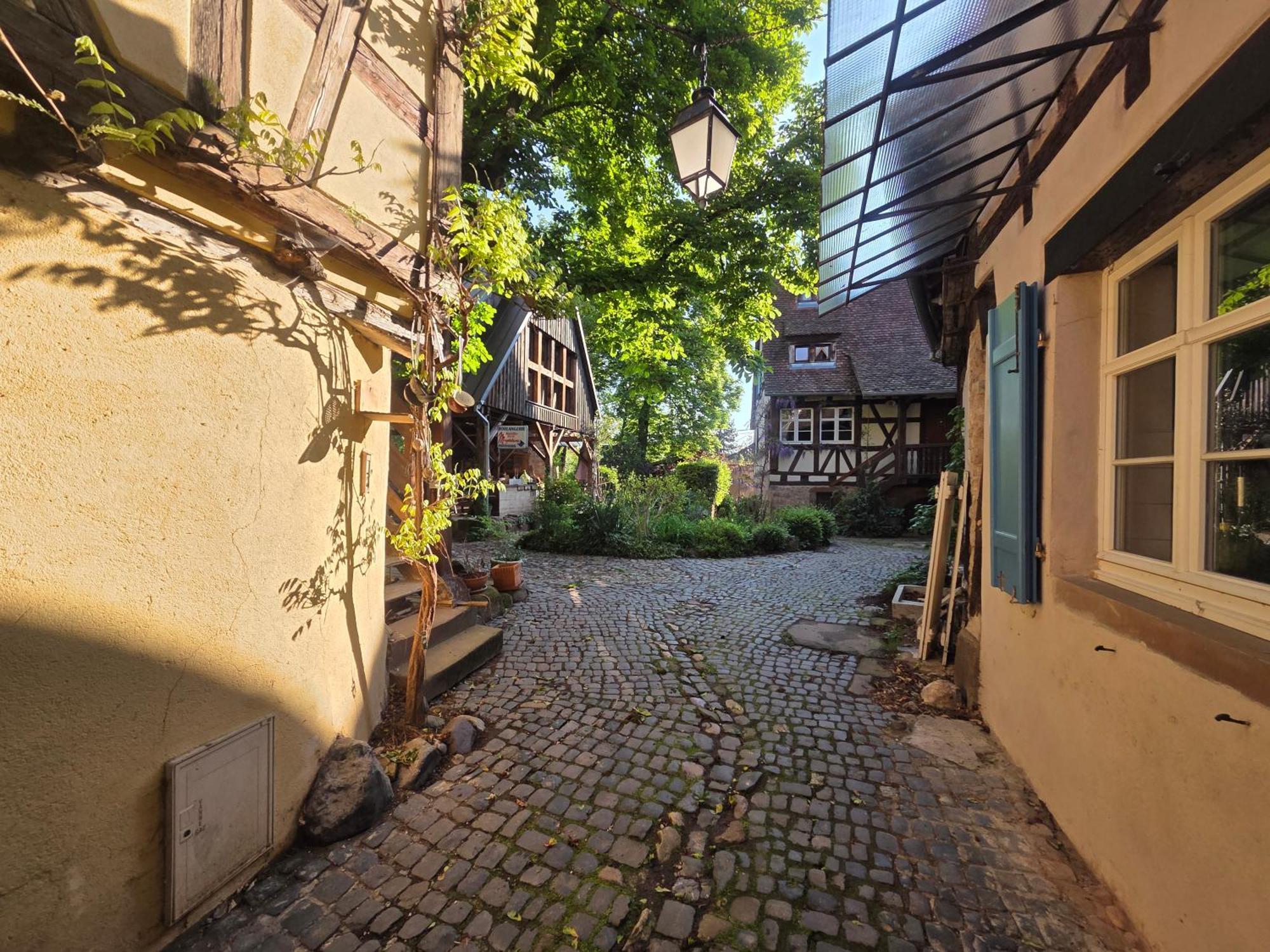 Villa Nid de Cigognes Barr Exterior foto