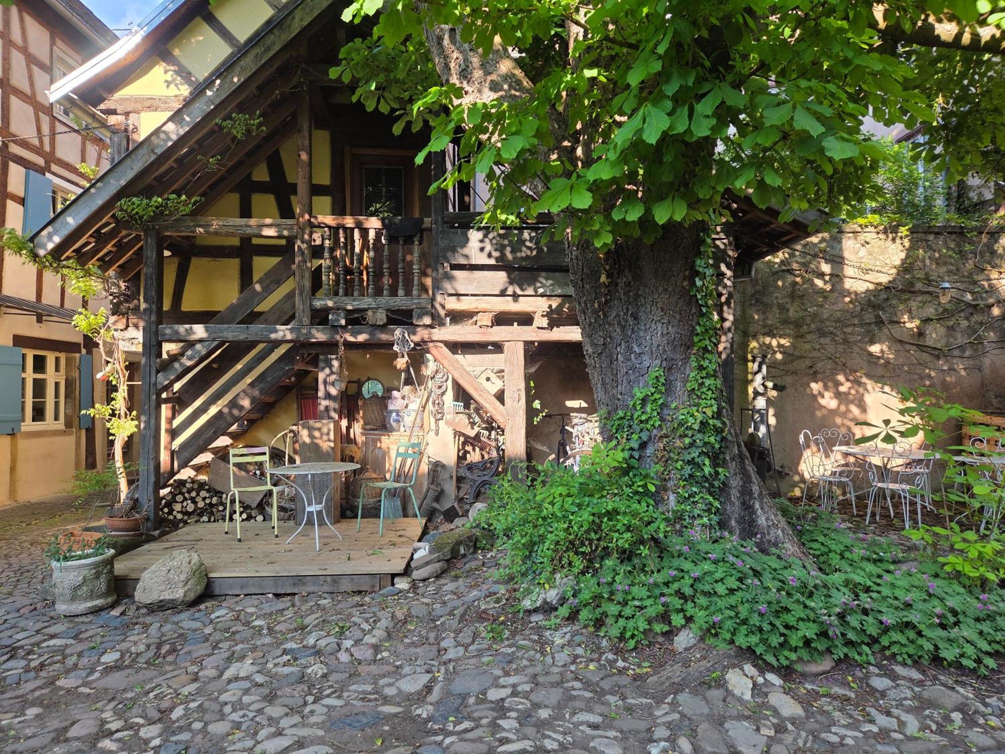 Villa Nid de Cigognes Barr Exterior foto